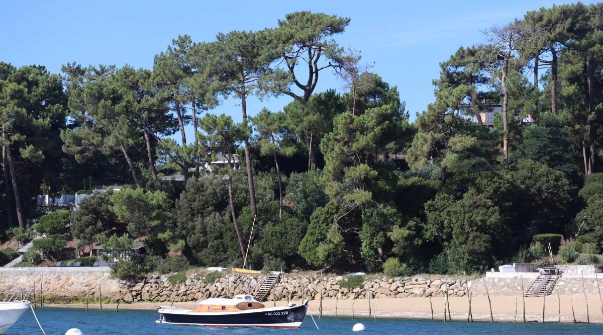 Naviguez dans le bassin d'arcachon